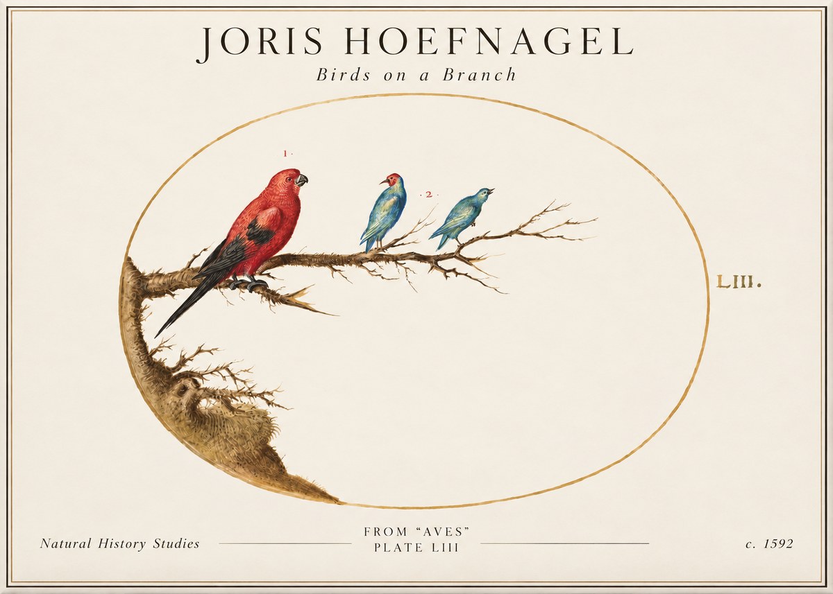 Joris Hoefnagel Birds on a Branch No2 - Affiche