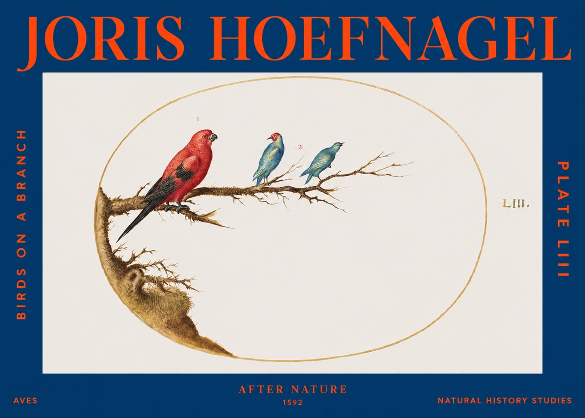 Joris Hoefnagel Birds on a Branch No3 - Affiche