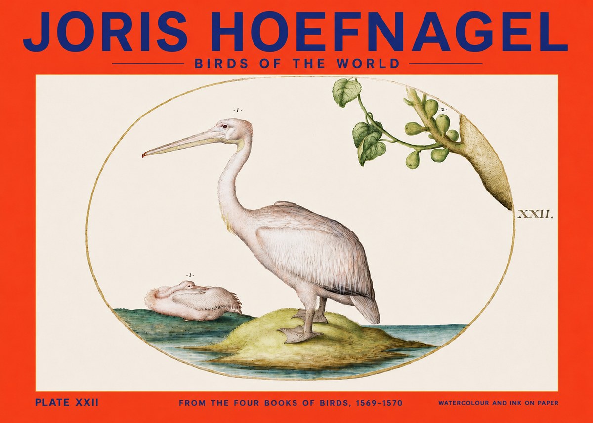 Joris Hoefnagel Plate Xxii No4 - Affiche