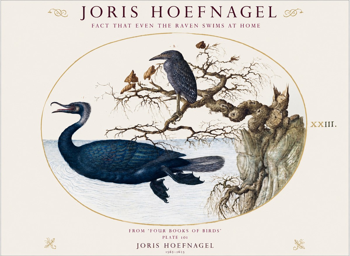 Joris Hoefnagel Fact That Even the Raven Swims at Home No1 - Affiche