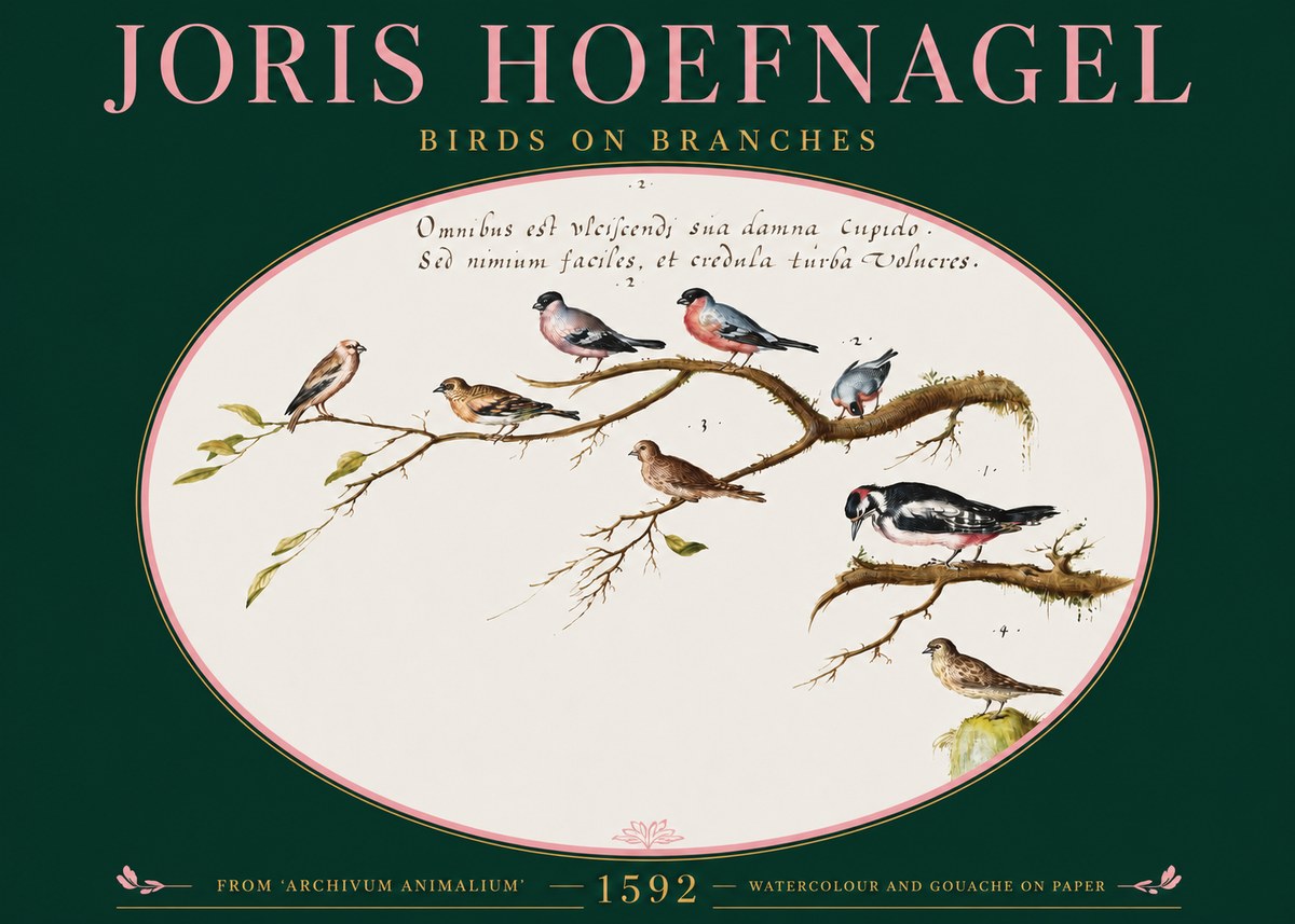 Joris Hoefnagel Birds on Branches No2 - Affiche