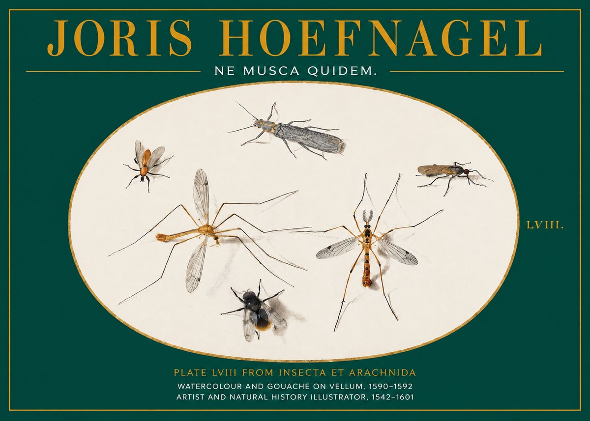 Joris Hoefnagel Plate Lviii from Insecta Et Arachnida No2 - Affiche