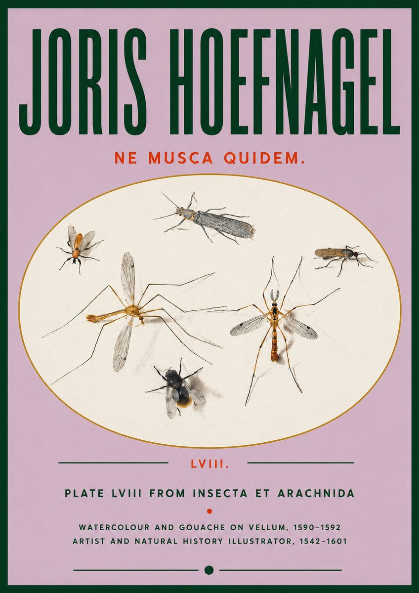 Joris Hoefnagel Plate Lviii from Insecta Et Arachnida No4 - Affiche