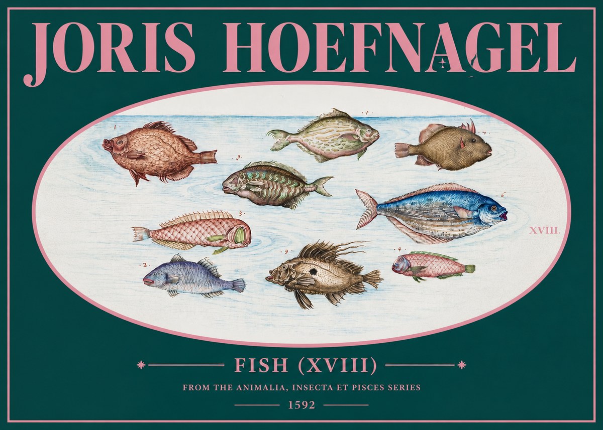 Joris Hoefnagel Studies of Fish I No3 - Affiche