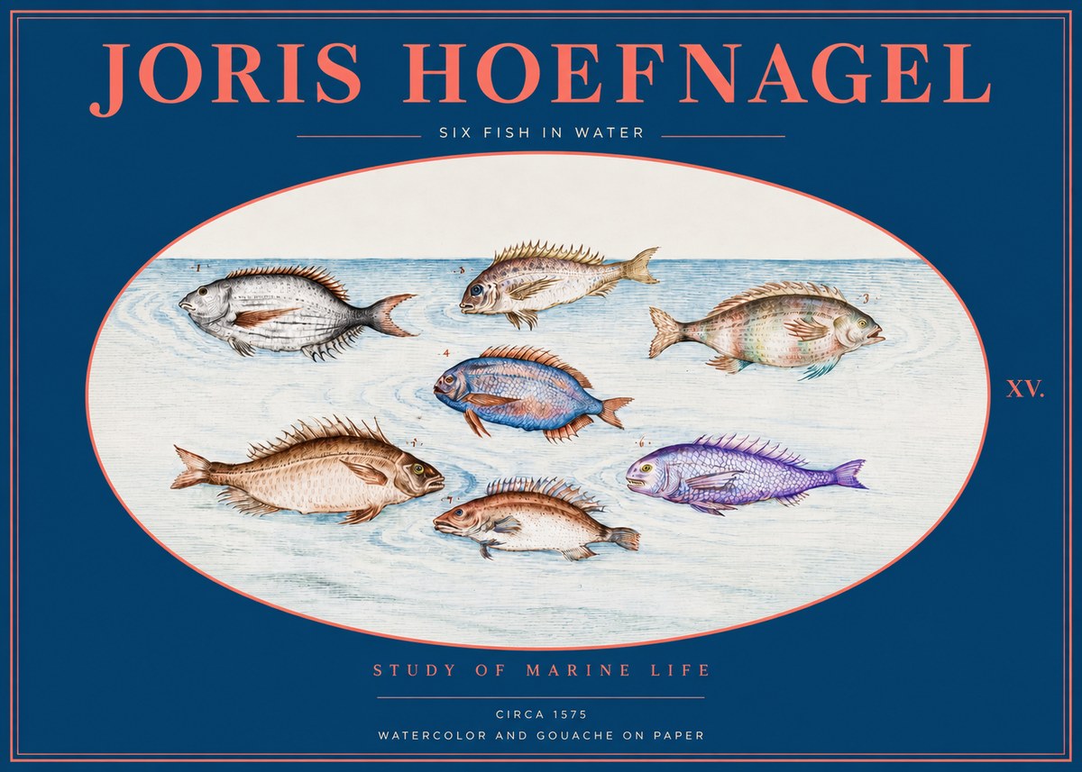 Joris Hoefnagel Six Fish in Water No2 - Affiche