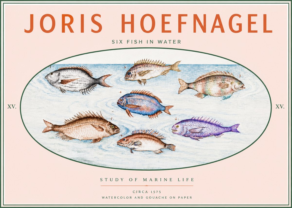 Joris Hoefnagel Six Fish in Water No3 - Affiche