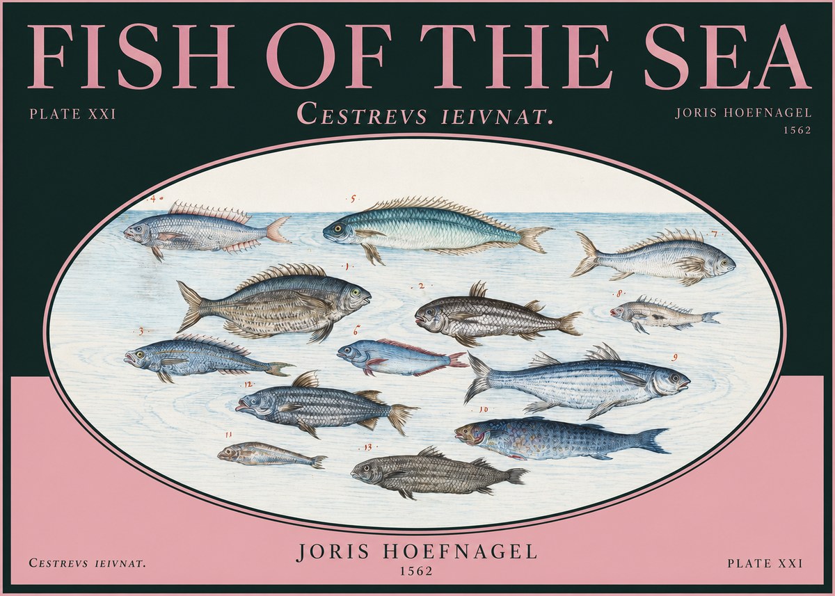 Joris Hoefnagel Fish of the Sea - Cestrevs Ieivnat. Plate Xxi No2 - Affiche