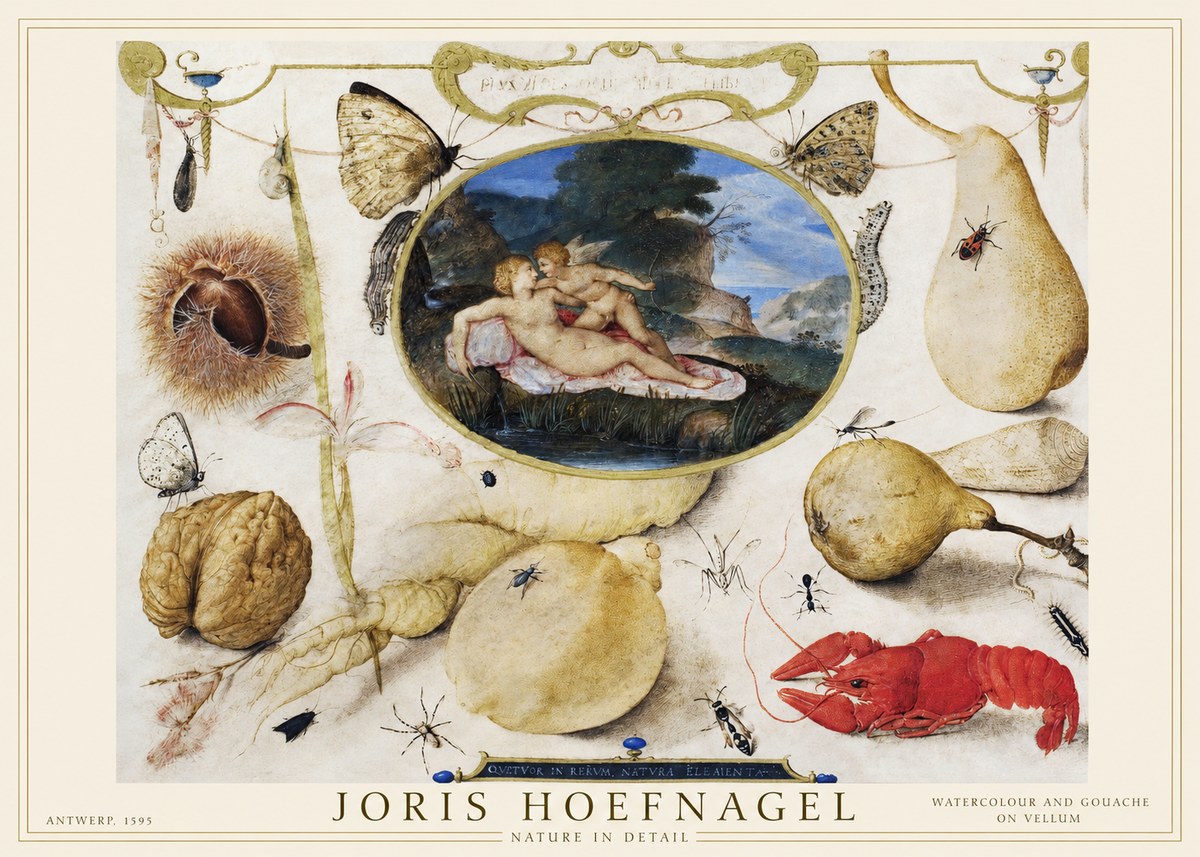 Joris Hoefnagel Nature in Detail No1 - Affiche