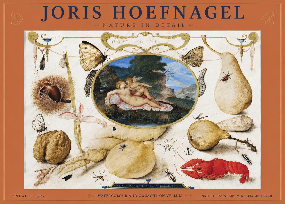 Joris Hoefnagel Nature in Detail No4 - Affiche