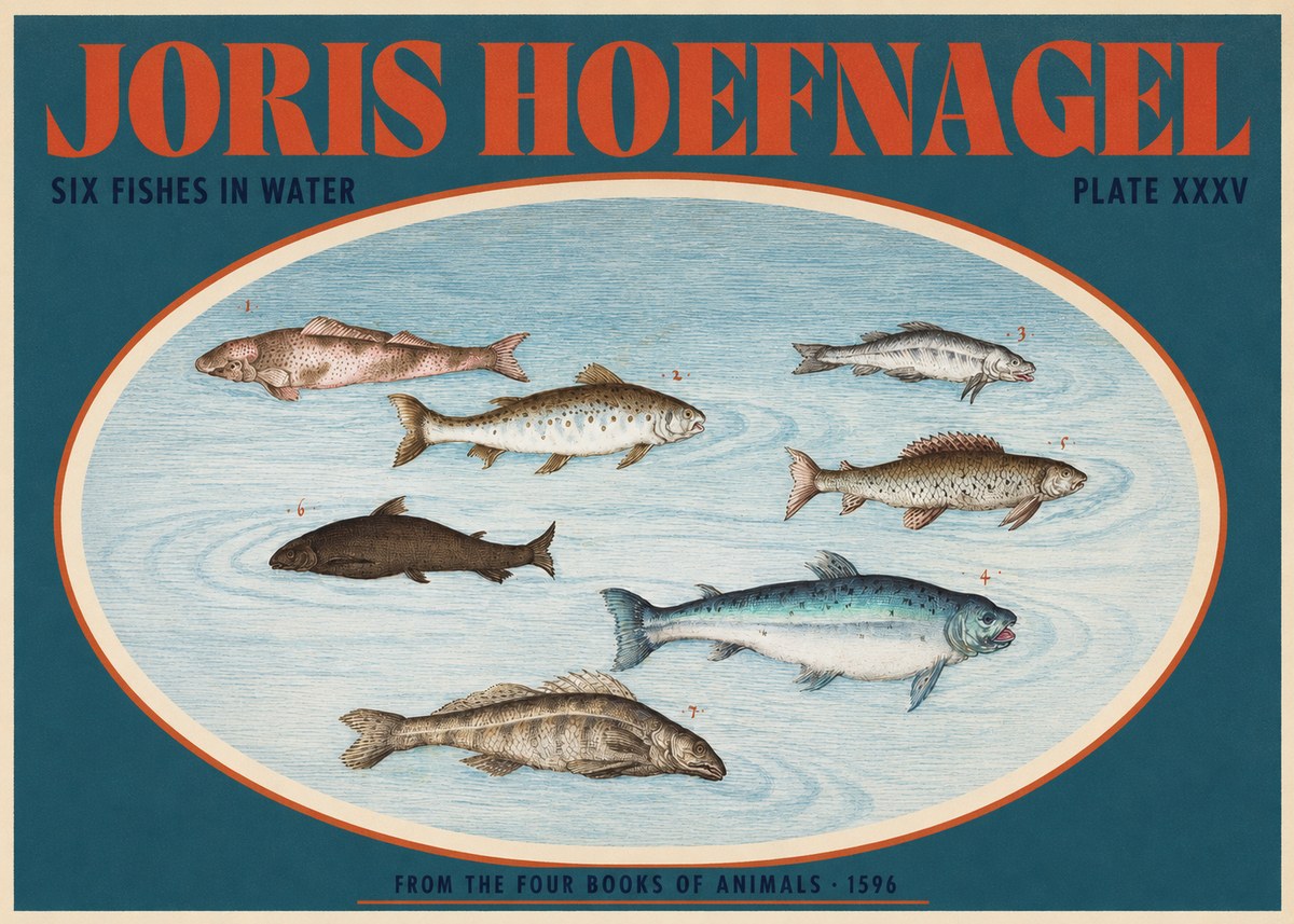 Joris Hoefnagel Six Fishes in Water I No2 - Affiche
