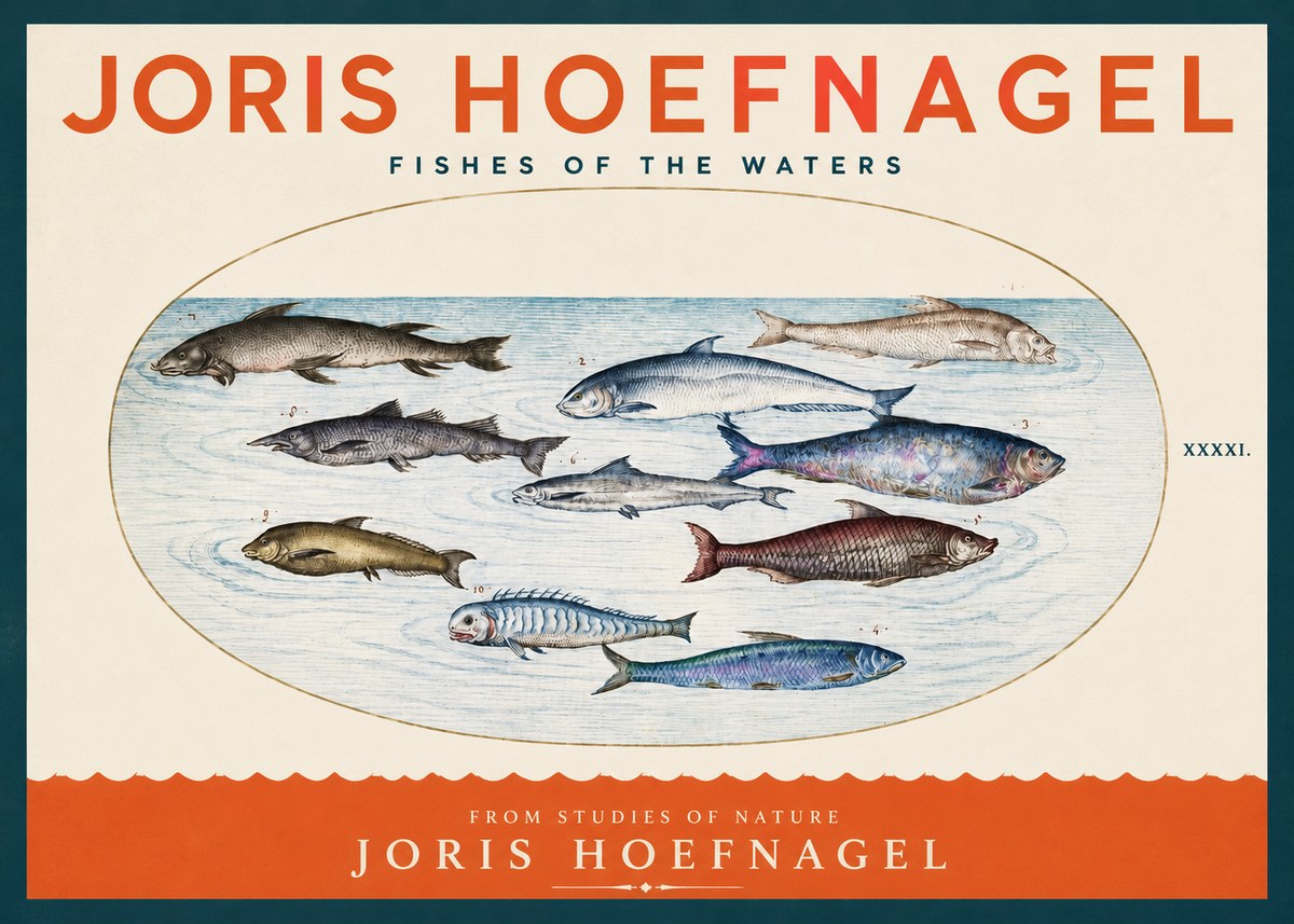Joris Hoefnagel Fishes of the Waters II No2 - Affiche