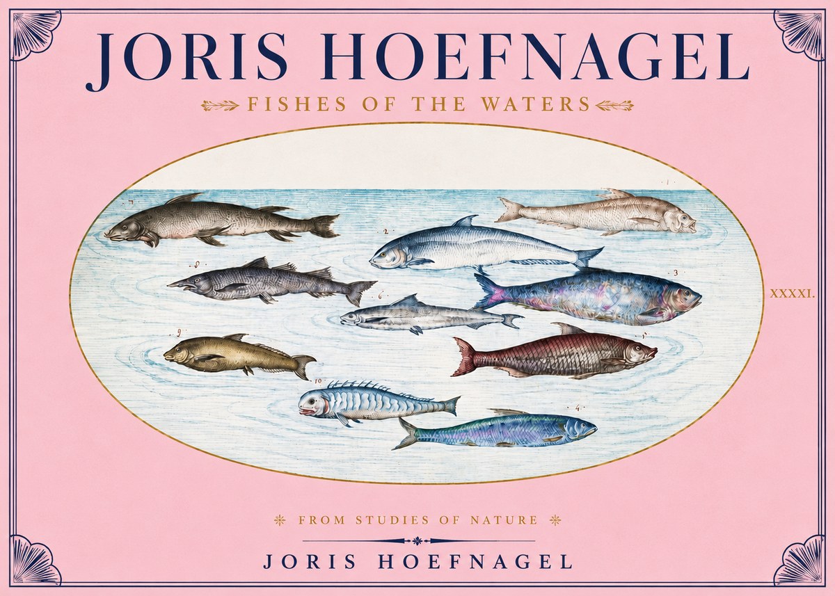 Joris Hoefnagel Fishes of the Waters II No3 - Affiche