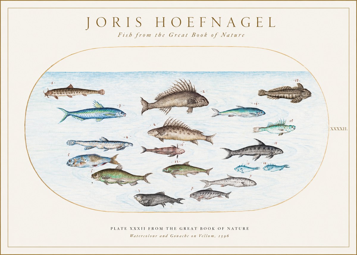Joris Hoefnagel Fish from the Great Book of Nature No1 - Affiche