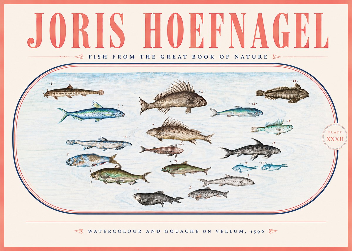 Joris Hoefnagel Fish from the Great Book of Nature No5 - Affiche