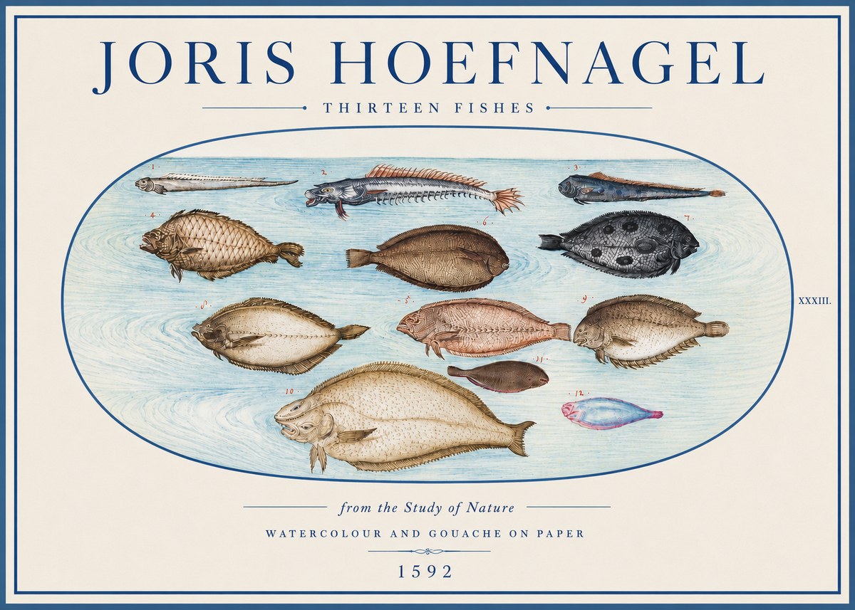 Joris Hoefnagel Thirteen Fishes from the Study of Nature No4 - Affiche