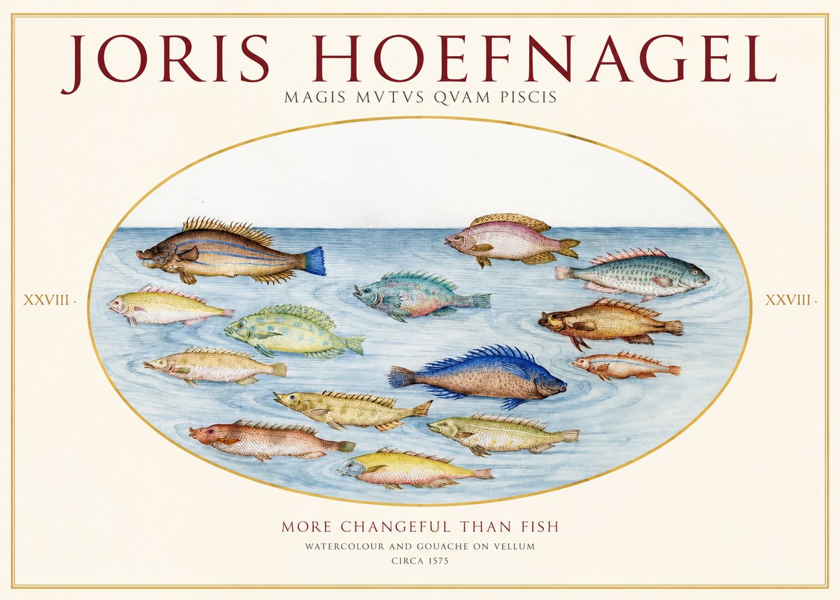 Joris Hoefnagel Fish More Than Silent No2 - Affiche