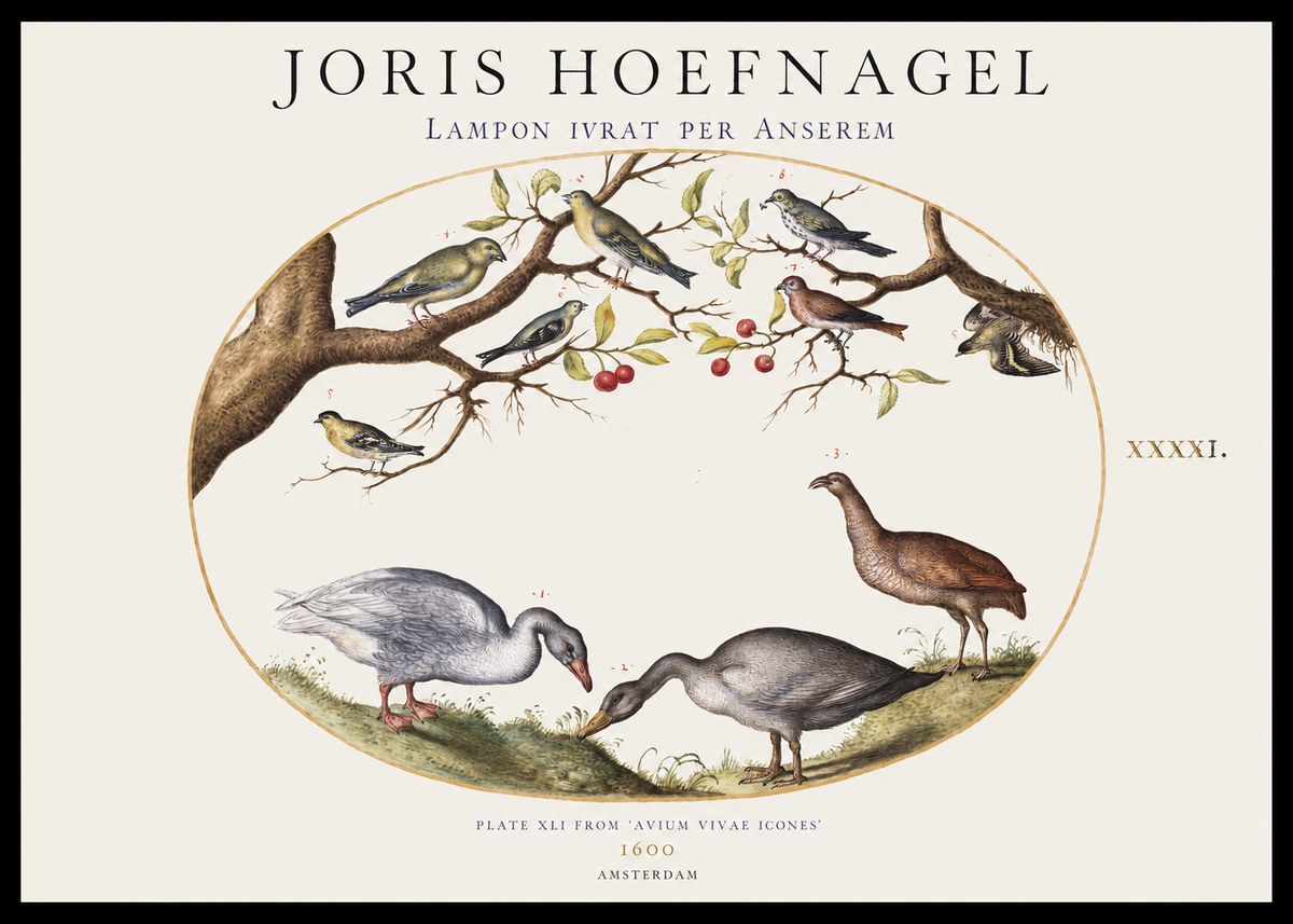 Joris Hoefnagel Lampon Ivrat per Anserem No1 - Affiche