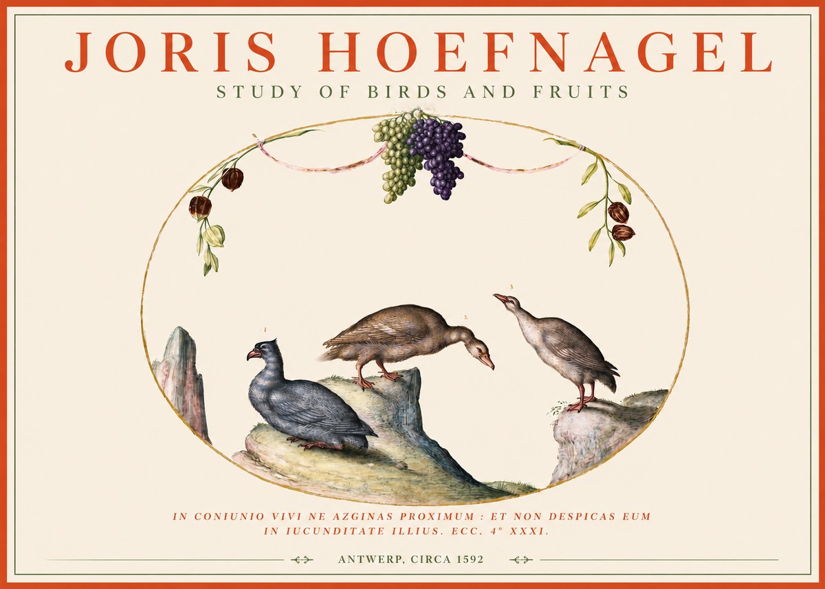 Joris Hoefnagel Three Birds with Grapes and Inscription No4 - Affiche