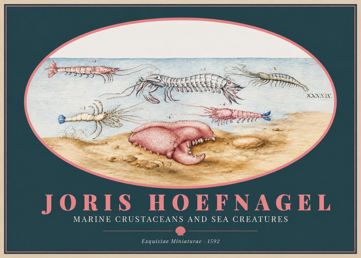 Joris Hoefnagel Marine Crustaceans and Sea Creature No2 - Affiche