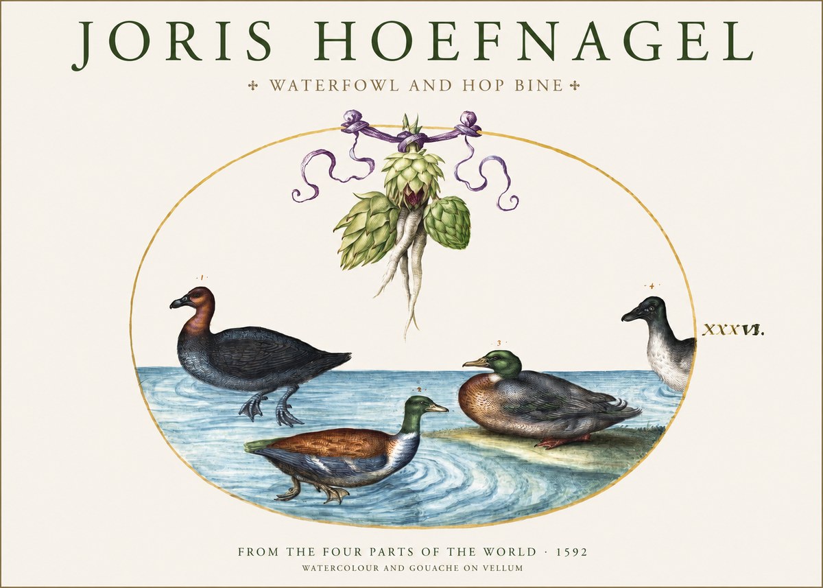 Joris Hoefnagel Waterfowl and Hop Bine No1 - Affiche