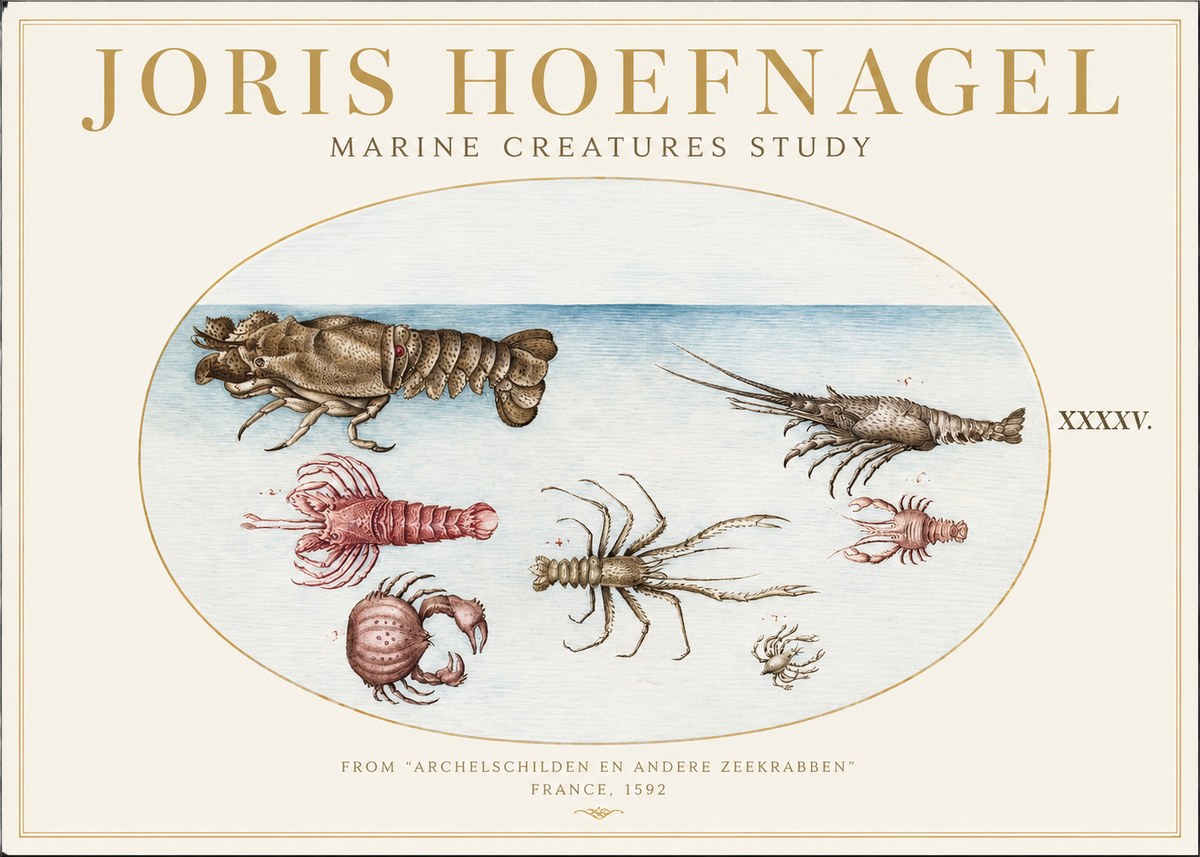 Joris Hoefnagel Studies of Crustaceans No2 - Affiche
