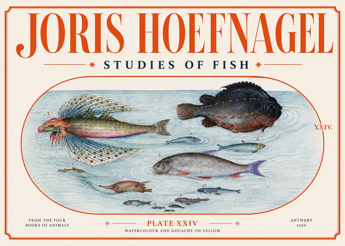 Joris Hoefnagel Studies of Fish II No4 - Affiche
