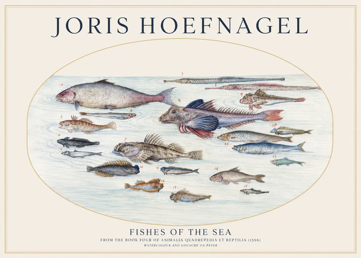Joris Hoefnagel Fishes of the Sea III No1 - Affiche