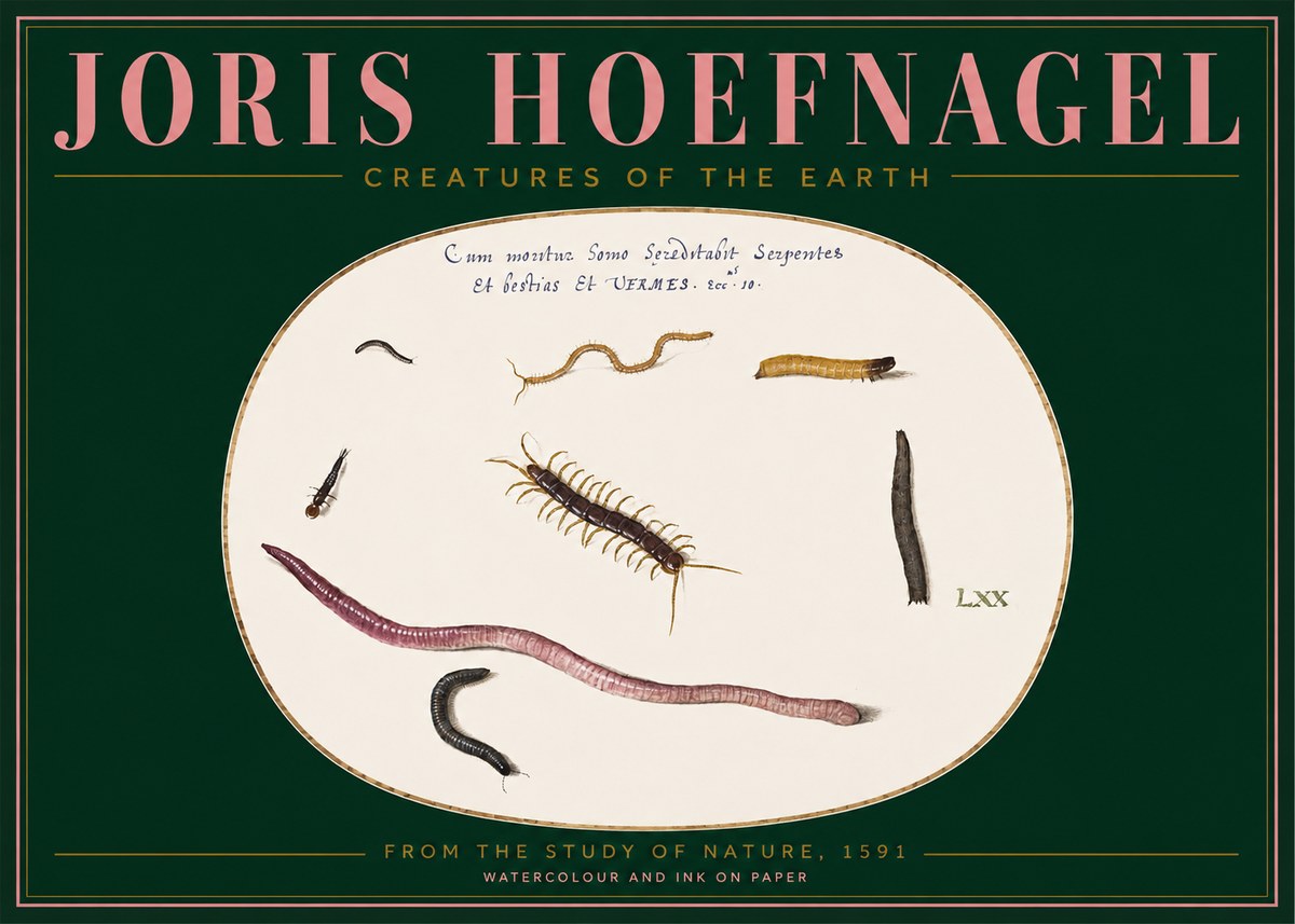 Joris Hoefnagel Creatures of the Earth II No2 - Affiche