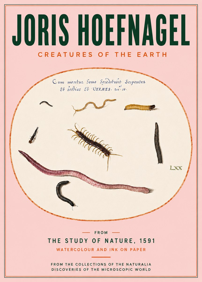 Joris Hoefnagel Creatures of the Earth II No4 - Affiche