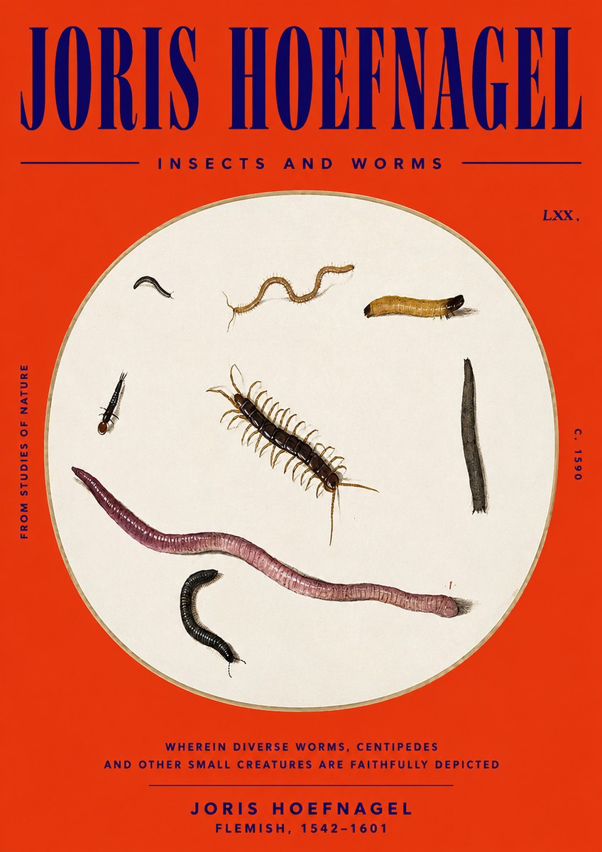 Joris Hoefnagel Creatures of the Earth II No6 - Affiche