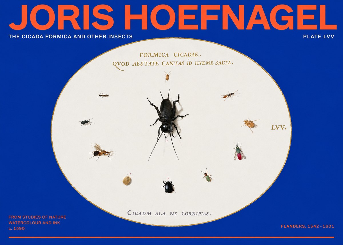 Joris Hoefnagel Formica Cicadae No6 - Affiche