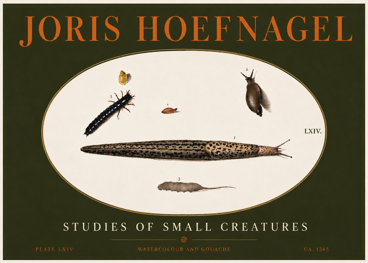Joris Hoefnagel Plate Lxiv No4 - Affiche
