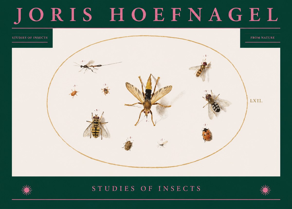 Joris Hoefnagel Studies of Insects IV No2 - Affiche