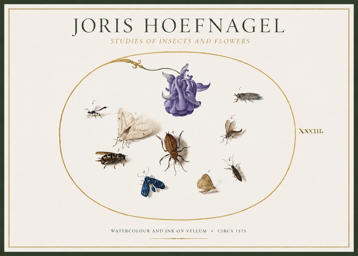 Joris Hoefnagel Studies of Insects and Flowers No1 - Affiche