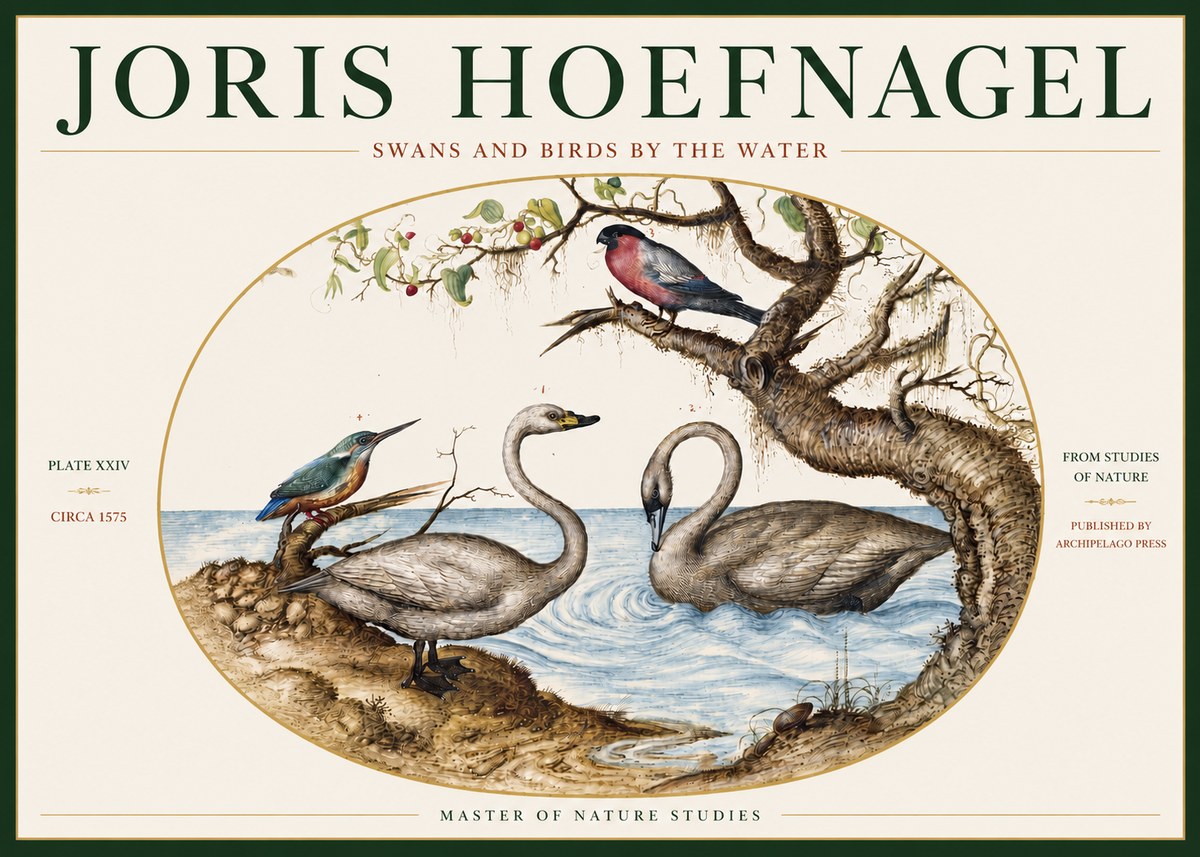 Joris Hoefnagel Swans and Birds by the Water No3 - Affiche