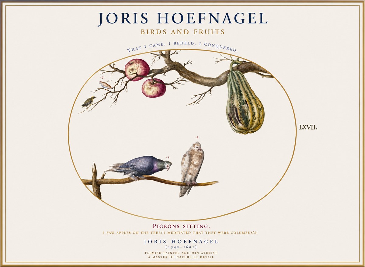 Joris Hoefnagel Pigeons Sitting. No1 - Affiche