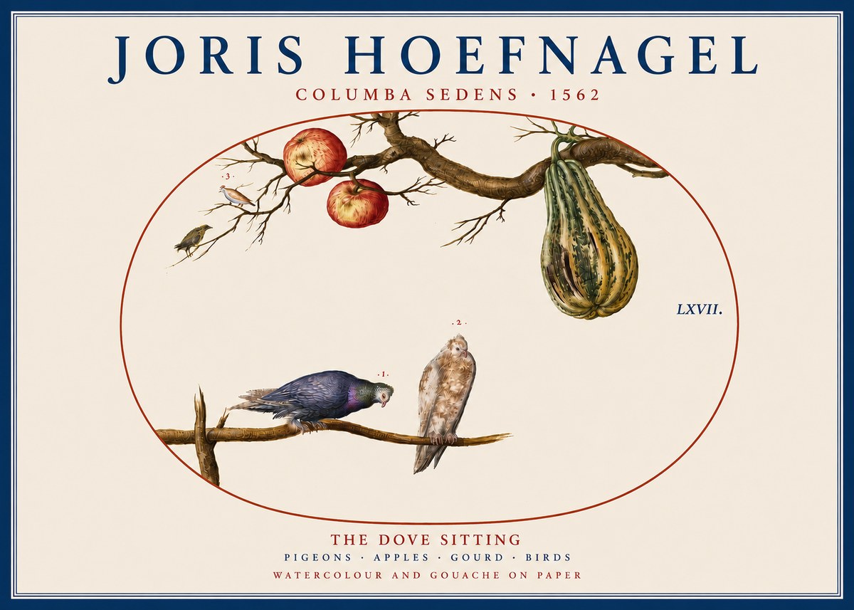 Joris Hoefnagel Pigeons Sitting. No5 - Affiche