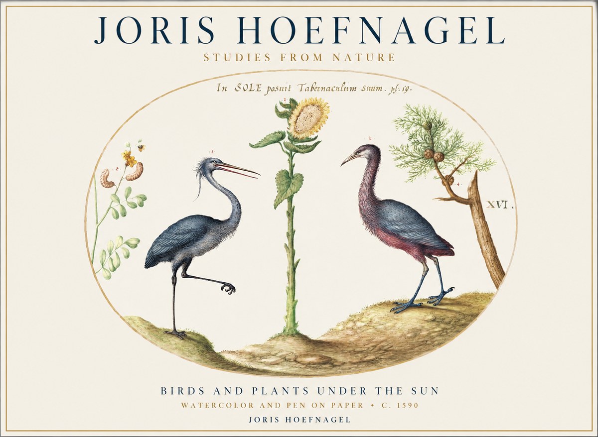 Joris Hoefnagel Birds and Plants Under the Sun No1 - Affiche