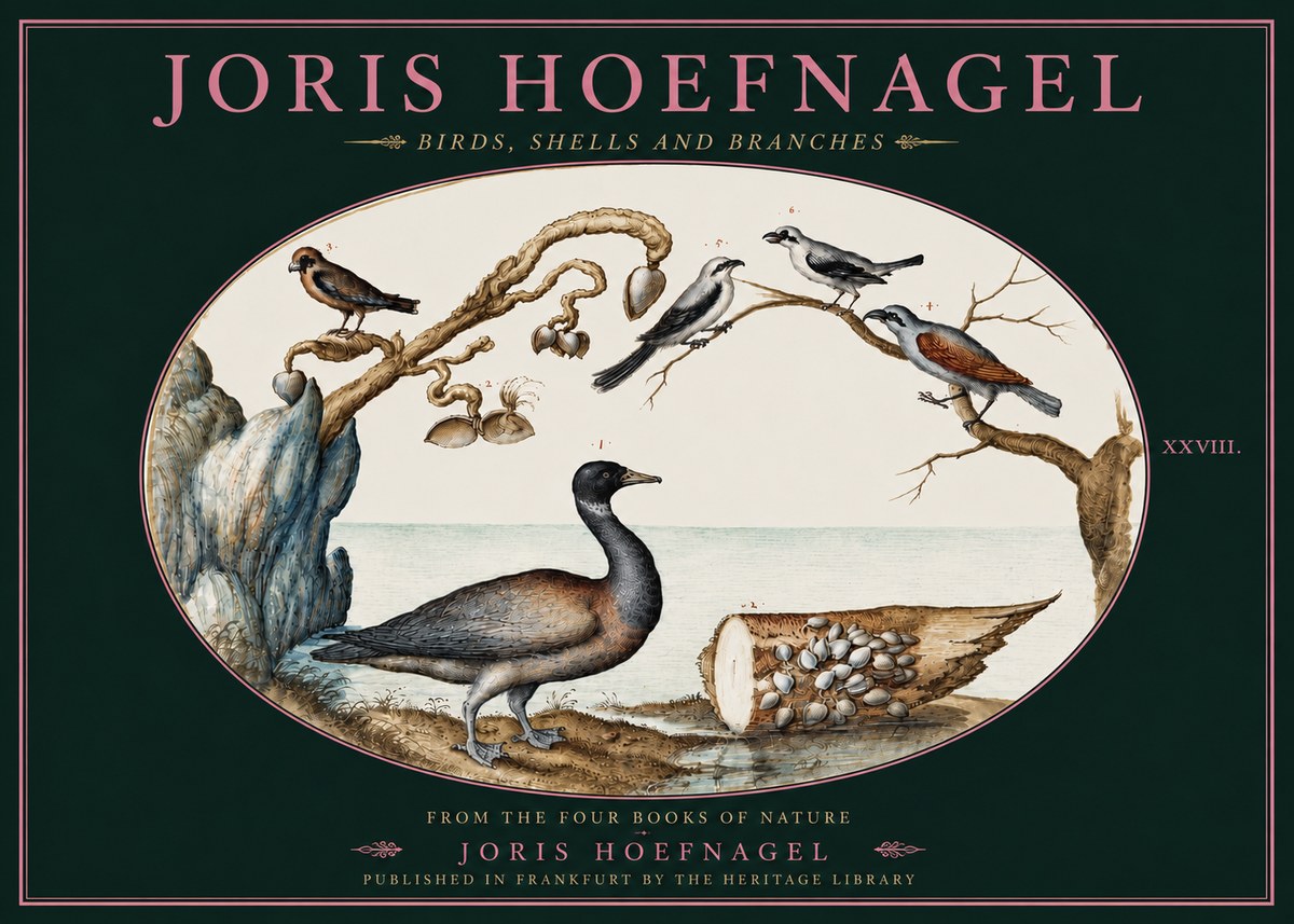 Joris Hoefnagel Birds, Shells and Branches No4 - Affiche