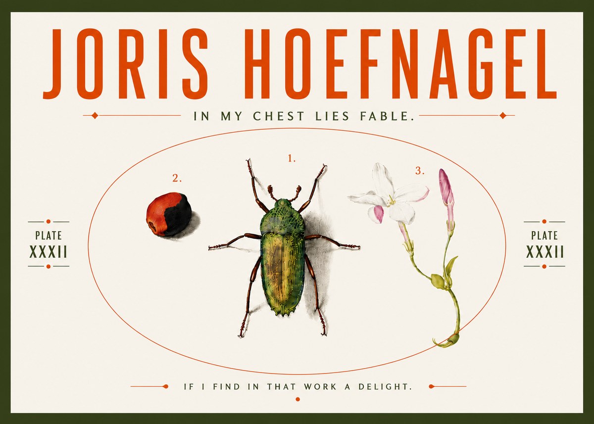Joris Hoefnagel In My Chest Lies Fable No5 - Affiche