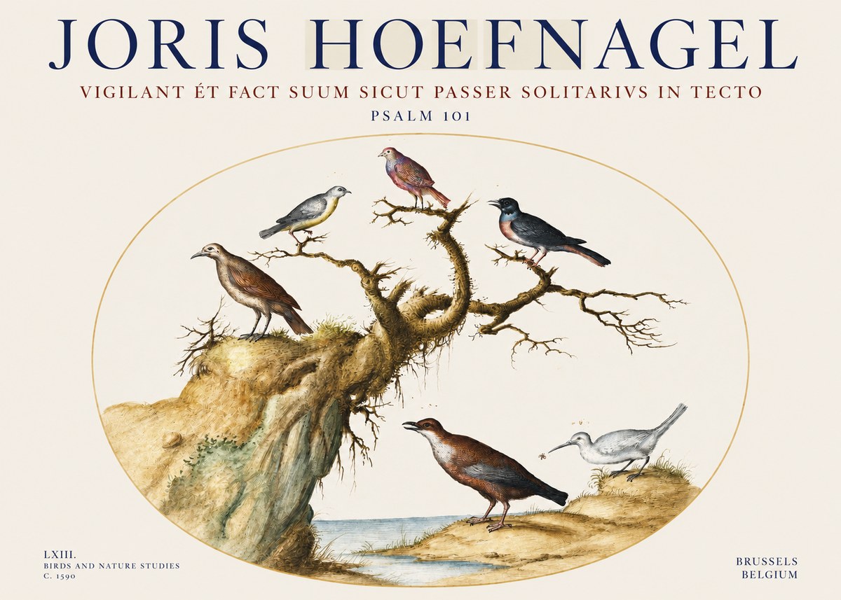 Joris Hoefnagel Vigilant Et Fact Suum Sicut Passer Solitarius in Tecto No3 - Affiche