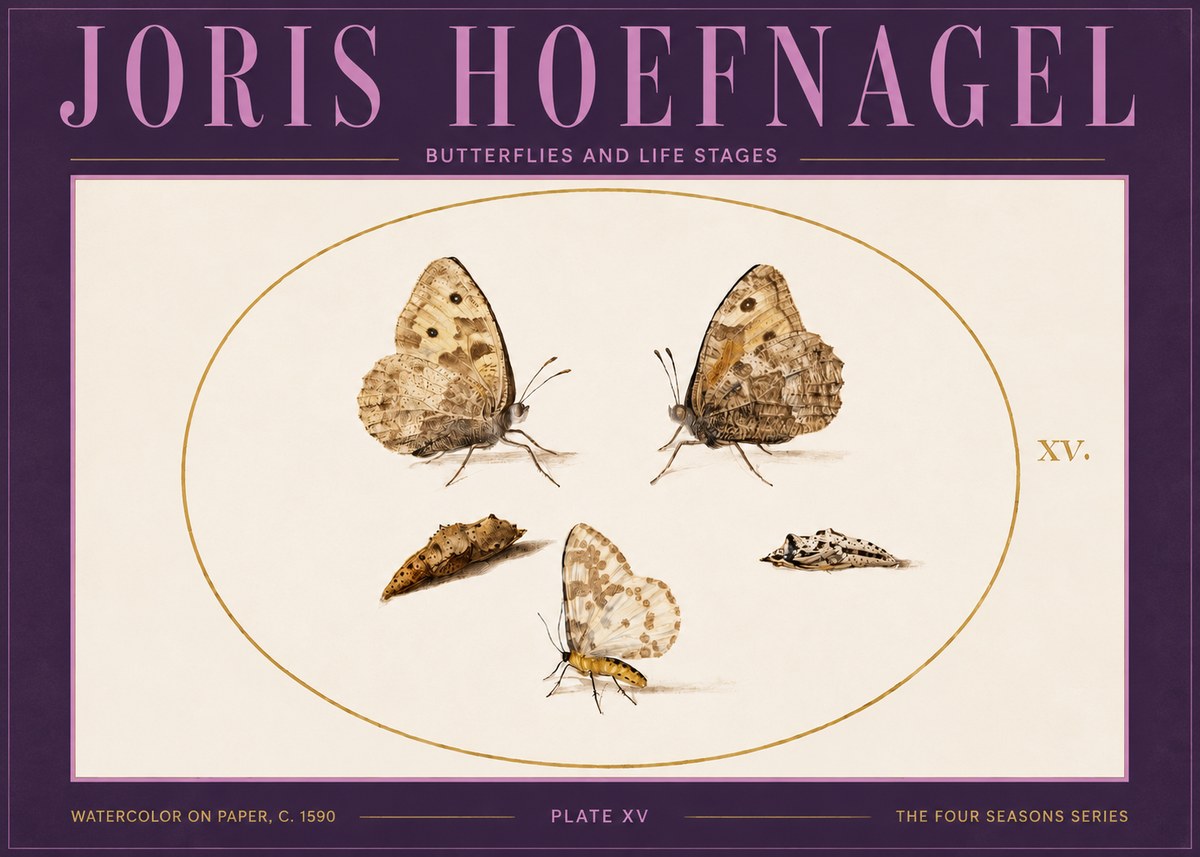 Joris Hoefnagel Butterflies and Life Stages - Plate Xv No4 - Affiche
