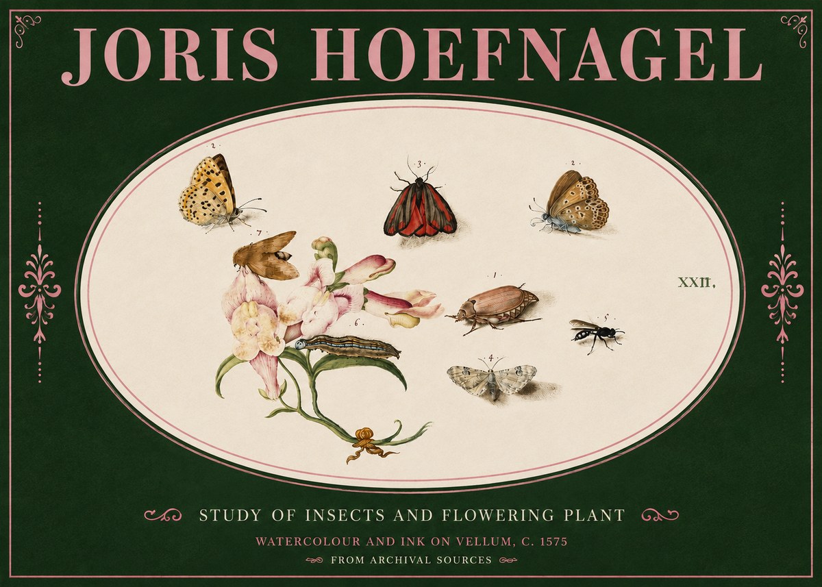 Joris Hoefnagel Study of Insects and Flowering Plant No4 - Affiche