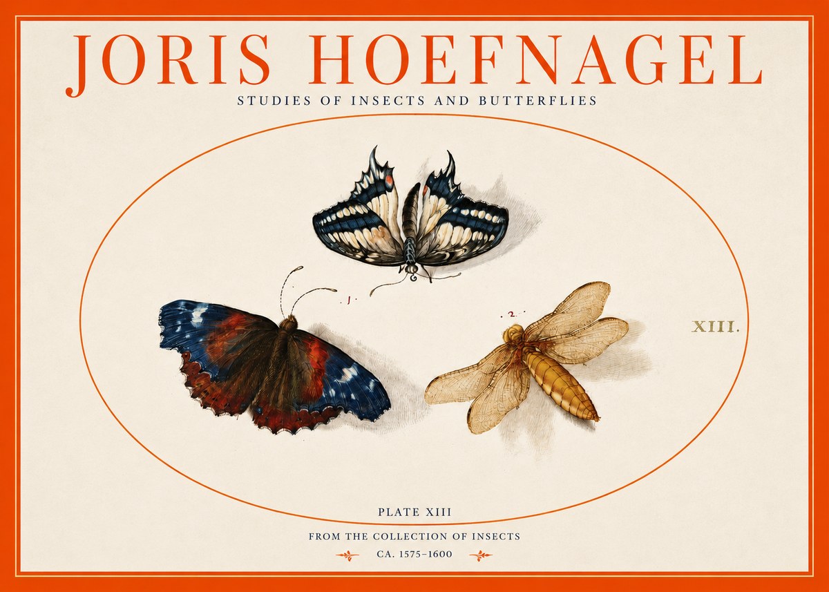 Joris Hoefnagel Studies of Insects - Plate Xiii No3 - Affiche