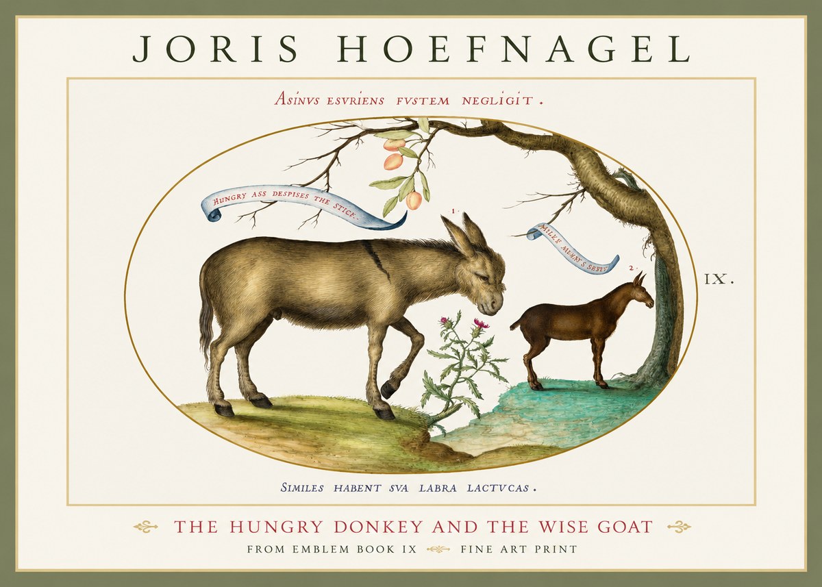 Joris Hoefnagel The Hungry Donkey and the Wise Goat No1 - Affiche