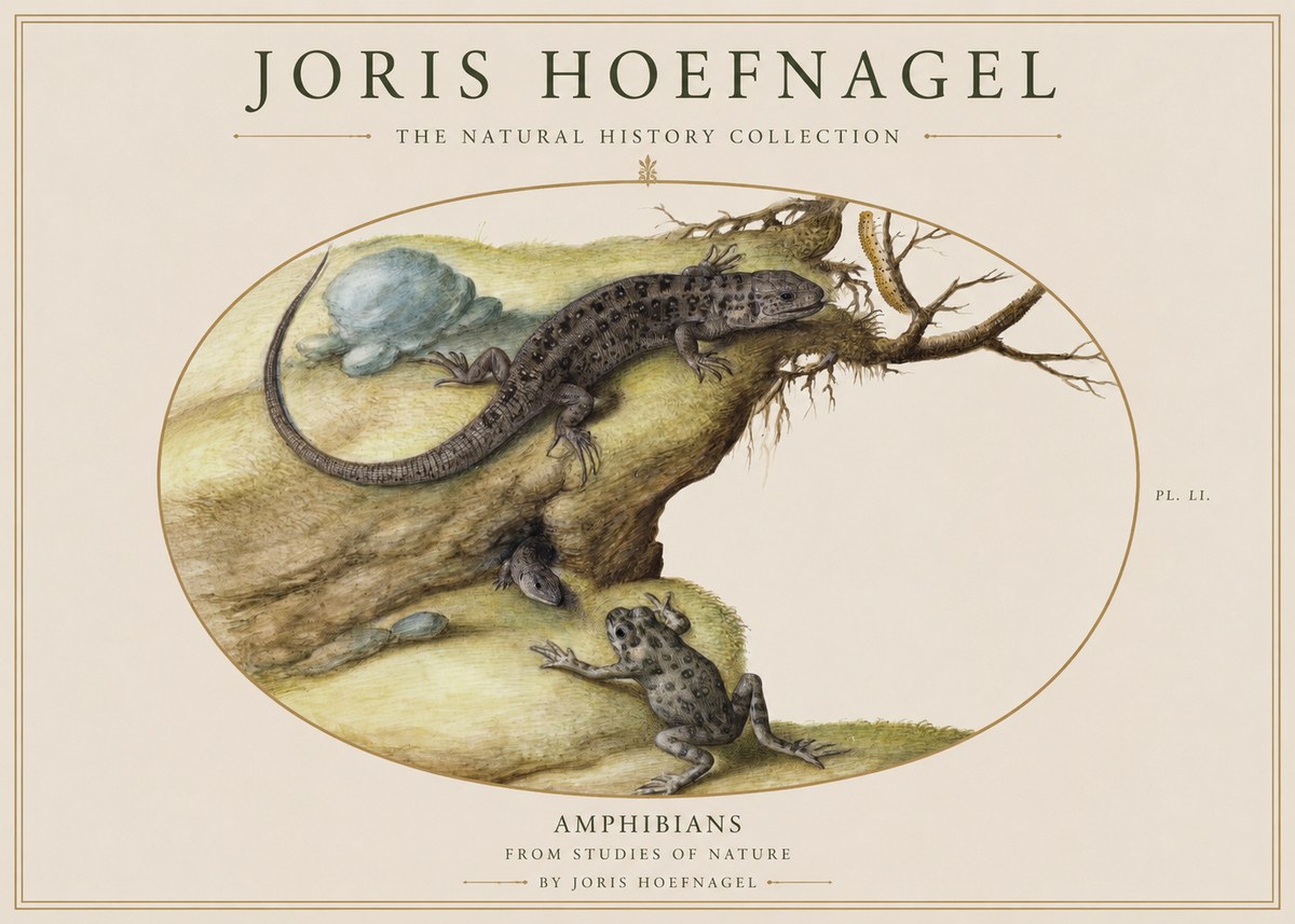 Joris Hoefnagel Amphibians from Studies of Nature No1 - Affiche