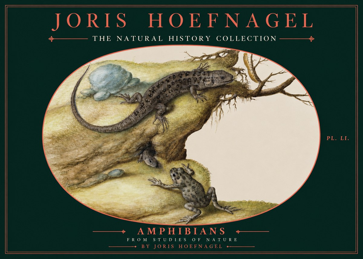 Joris Hoefnagel Amphibians from Studies of Nature No2 - Affiche