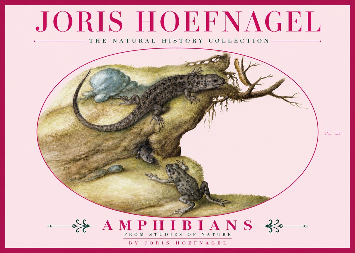 Joris Hoefnagel Amphibians from Studies of Nature No3 - Affiche