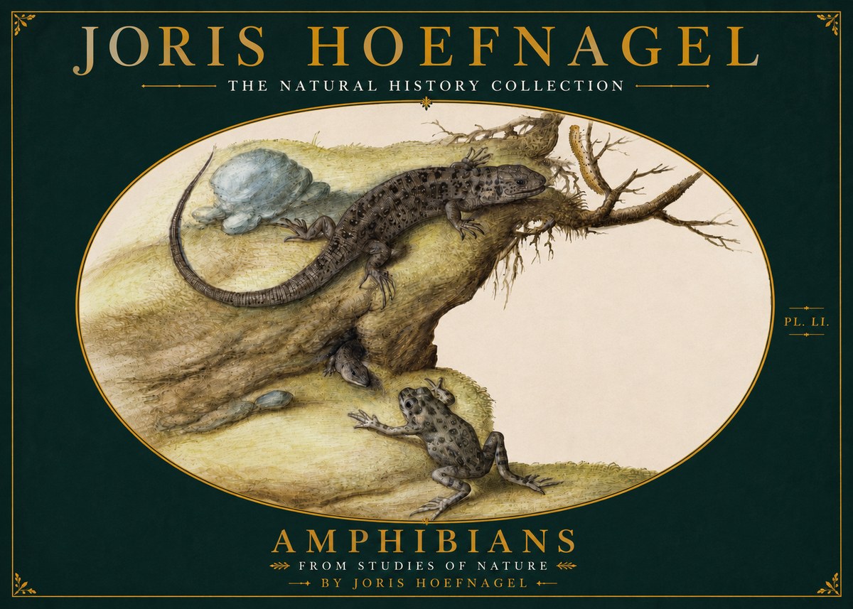 Joris Hoefnagel Amphibians from Studies of Nature No4 - Affiche