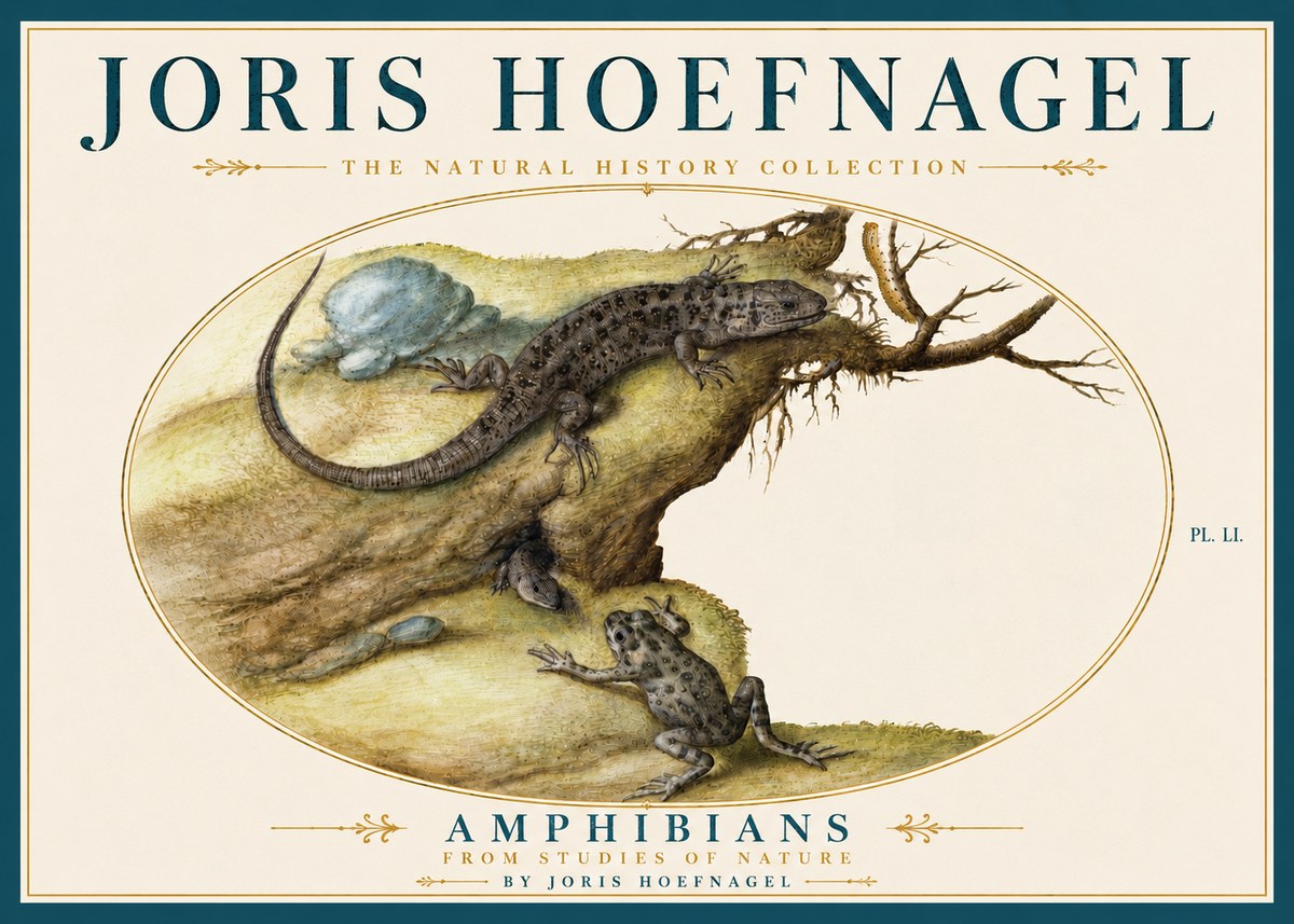Joris Hoefnagel Amphibians from Studies of Nature No5 - Affiche